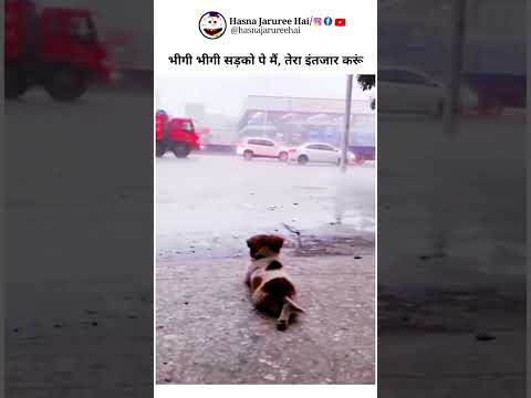 dogi  Mera kya mast dosti #sonu #song #dj