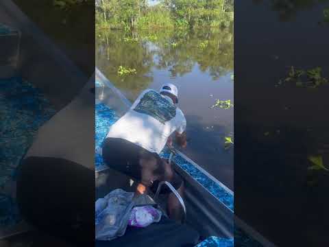 #alligator #bayou #louisiana #date #giggleninja #cajun