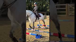 @HarlowLunaWhite