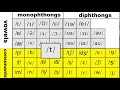 Understanding the Transcript