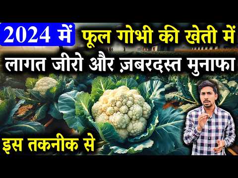 2024 में फूलगोभी की खेती में लागत जीरो और मुनाफा 2 से 3 गुना | Gobhi Ki Kheti Kaise Karen