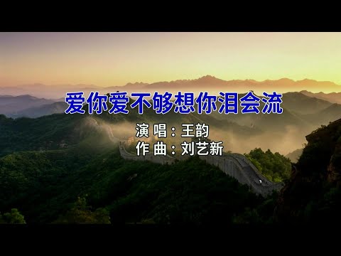 爱你爱不够想你泪会流-王韵-演唱 KARAOKE