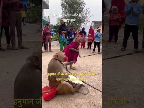 ???Been Bajata Ja Sapare / बीन बजाता #trending #viral #funny  #monkey #shorts #video #subscribe