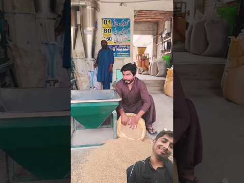 Khizar Omer gandam mein se paison Ki gadiyan nikal Aaye #funny