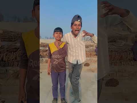 Billi ने हाथी का दाँत तोड़ दिया 🥵😰 #shorts #comedy #trending #viral #shortvideo
