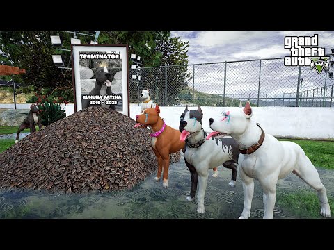 BİR DEVRİN SON MU!? PİTBULL TERMİNATÖR'Ü KAYBETTİK! - GTA 5 PİTBULL'UN HAYATI