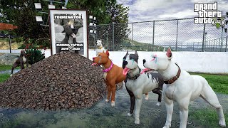 BİR DEVRİN SON MU!? PİTBULL TERMİNATÖR'Ü KAYBETTİK! - GTA 5 PİTBULL'UN HAYATI