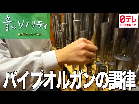 「パイプオルガンの調律」♯1126(茨城県)2026年3月29日 音風景動画【音のソノリティ公式】