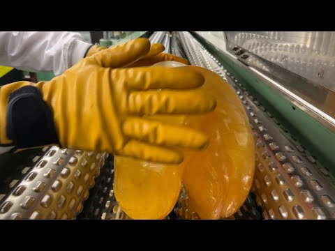 【製造動画】塩飴の作り方 / How to make candy / Japan / Kyoto / salt / 2025