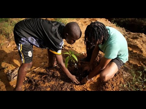 Forest93: Food Forest met een sociaal doel