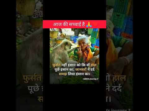 फुरसत नहीं इंसानों को ।।♥️ #shorts #motivation #facts #emotional