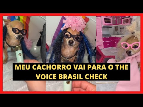 ANIMAIS ENGRAÇADOS - MEU CACHORRO É CANTOR CHECK!