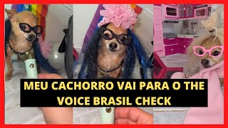 ANIMAIS ENGRAÇADOS - MEU CACHORRO É CANTOR CHECK!