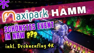Maximilianpark Hamm Herbstleuchten 2025 Glaselefant & Lichtkunst mit der Drohne in 4K