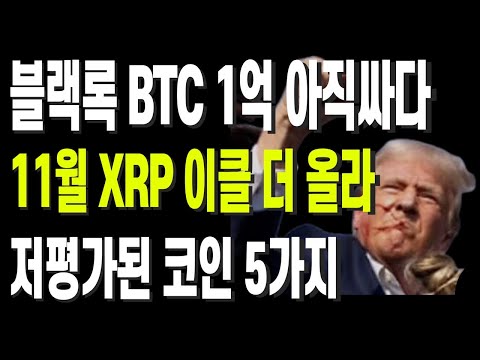 블랙록 BTC 1억 아직싸다 11월 XRP하고 더 올라 저평가된 코인 5가지