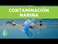 Marine Pollution and Conservation Concepts