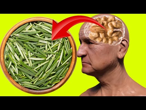 Use One amazing herb to prevent memory loss  Prevent Memory Loss with Just One Ingredient