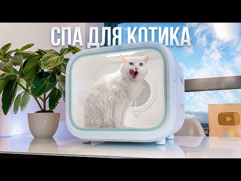 КАК ПРАВИЛЬНО МЫТЬ КОТА? УСТРОИЛИ СПА ДЛЯ ПУШИСТОГО🛁