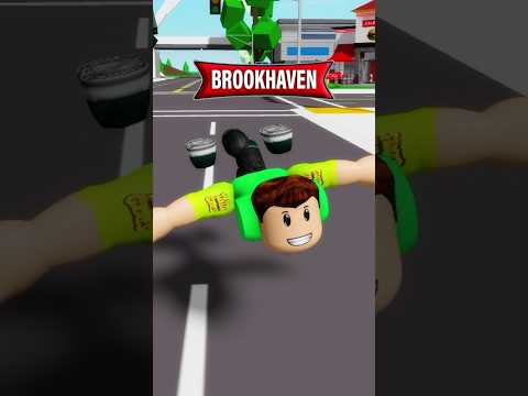 Brookhaven, TUDO o que eu ENCOSTAR mostro na VIDA REAL! 😱🌍