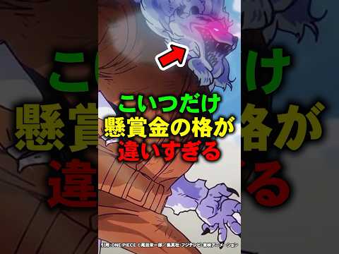 ローの右腕の格が違いすぎる【ワンピース】 #Shorts