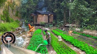 Back to house in the woods, fixing the electricity, gardening, harvesting eggplants, Live in nature