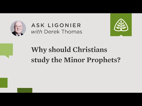 Why should Christians study the Minor Prophets?