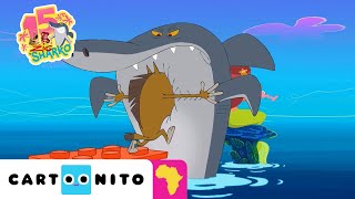 Brick by Brick | Zig & Sharko | Cartoonito Africa
