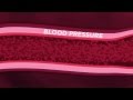 Understanding Blood Pressure