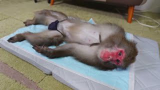 動画サムネイル