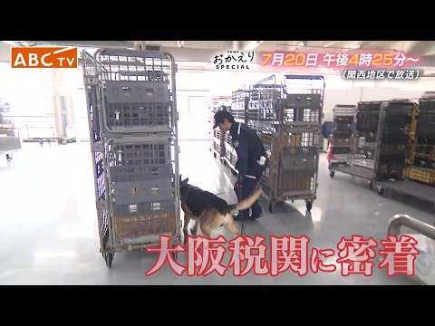「news おかえり」7月20日(日)午後4時25分~放送