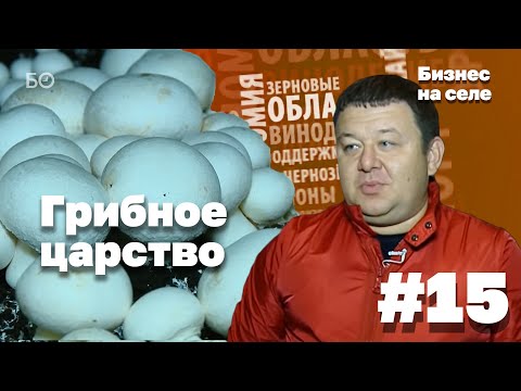 Царство грибов в Лаишевском районе | Бизнес на селе #15