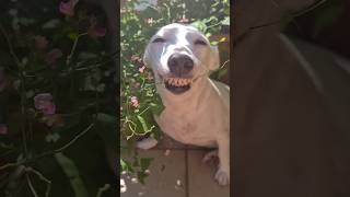 BARRA LIBRE EN MI CASA #viralshort #humor #comedia #elsalvador #gracioso #risas #divertido #mexico