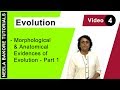 Divergent and Convergent Evolution Concepts