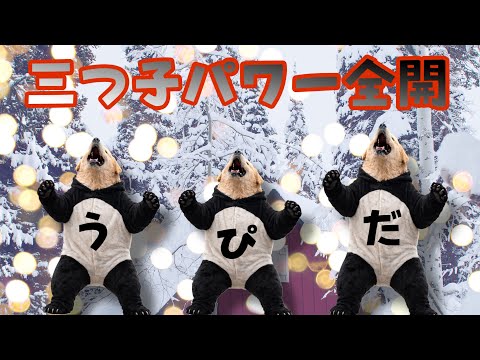 【祝バニィ旅2】はちゃめちゃ三つ子パワー全開