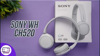 Vidéo-Test : Sony WH-CH520 Review- A Good Budget Headphones at Rs 4,499