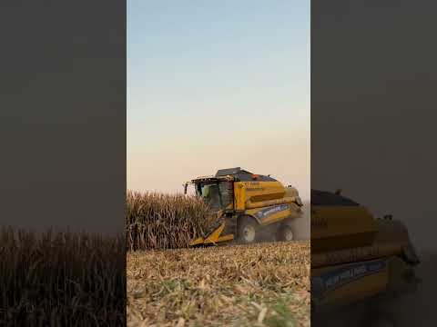آلة حصاد #صنايعية #أدوات_العمل #الفلاحة #المزرعة #agriculture #work_tools #work #working #viral