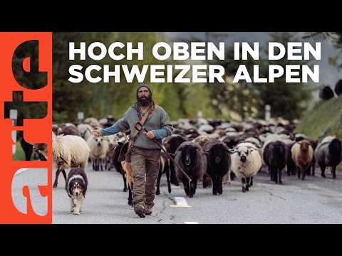 Die Schäferfamilie | Doku HD | ARTE