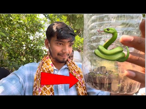 Saving a Snake From a Well #snake #snakerescue #harshpushptodevlog #gaon #harshbhau #family