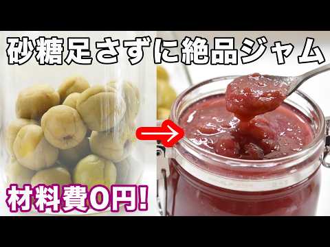 【材料費0円】梅酒の梅ジャムの作り方☆砂糖を足さないから料理にも使えます。覚えたら一生ものの作り方☆４毒抜きレシピではありません。