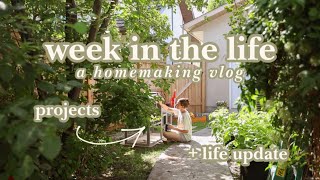 Summer Homemaking Vlog | projects, life lately, & meet our newest family member :)