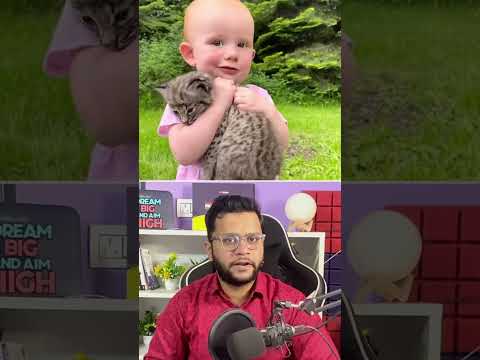 A Kitten Was Found in a Field… But It Grew Up to Be Something Else #facts