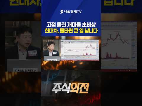 70만 원 고점 물린 개미들 초비상! 반토막 난 현대차, 지금 물타면 큰 일 납니다 [김성훈 KM파트너스 대표]