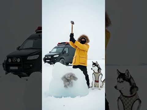 Man rescues a dog from ice block