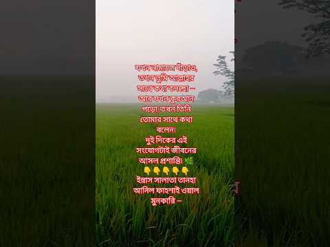 আপনি কি জানেন, নামাজ না পড়া মানে নিজের শান্তি হারানো? #নামাজ #ইসলাম #শান্তি #shortvideo #motivation