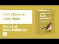 Themes and Devices in Dickinson's Poetry