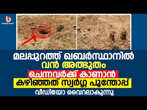 മലപ്പുറത്ത് കബർസ്ഥാനിൽ വൻ അത്ഭുതം .ചെന്നവർക്ക് കാണാൻ കഴിഞ്ഞത് സ്വർഗ്ഗ പൂന്തോപ്പ് | uvaisulqarni