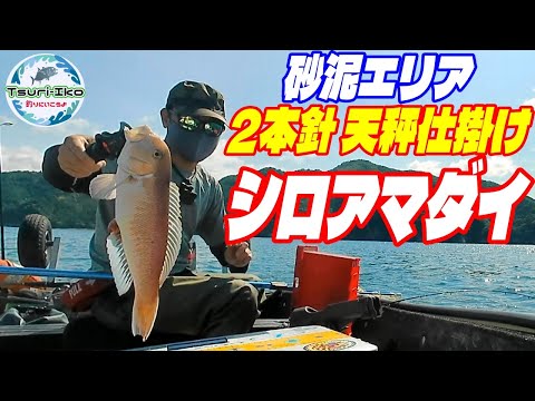 三重県釣行 砂泥エリア 自作2本針天秤仕掛け×タイラバでシロアマダイ&真鯛を狙う!今回のヒットのパターンは?