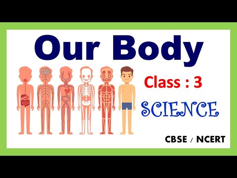 Our Body | Class : 3 | Science | EVS | CBSE / NCERT | Organ System |  Our Amazing Body