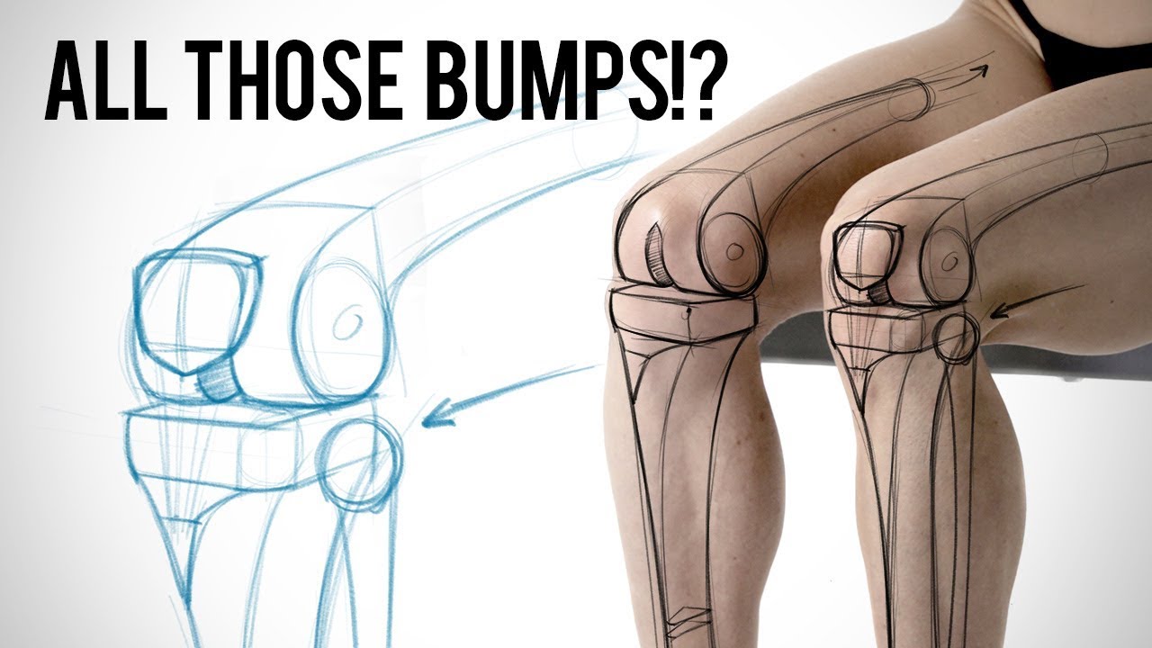 What Are All Those Bumps? Learning Leg Bone Anatomy - Proko