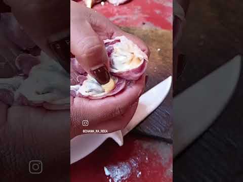 Onde fica a catinga da galinha